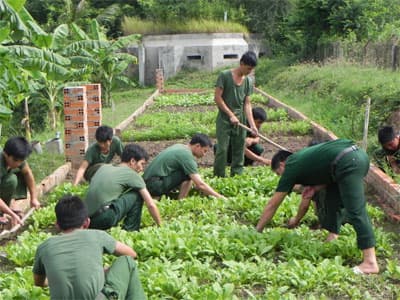 Nỗ lực làm hồi sinh vùng đất cằn