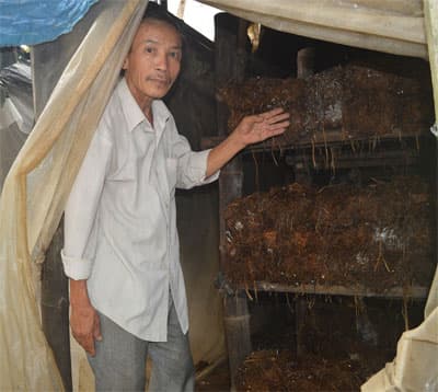 Người tạo thương hiệu nấm Ái Nghĩa