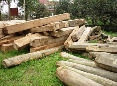 Nguyên nhân từ đâu?