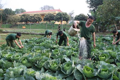 Phát huy tác dụng của ngày chính trị-văn hóa tinh thần