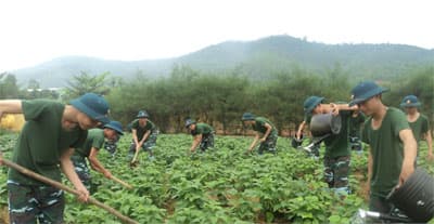 Phát huy vai trò của công tác thi đua, khen thưởng