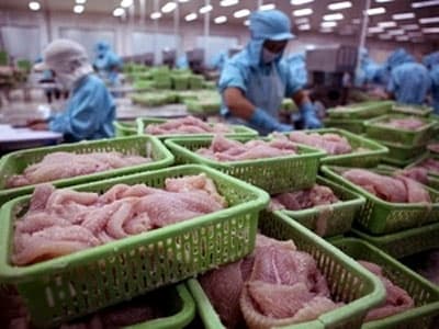 Ông Trần Văn Trí nhận ủy quyền làm TGĐ Bianfishco