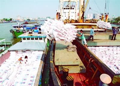 Xuất khẩu Việt Nam đang đối mặt với nhiều khó khăn