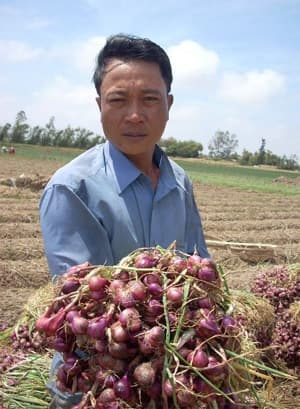 Mô hình đa canh hiệu quả kinh tế cao