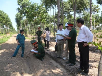 Chưa xác định được bãi mộ tập thể