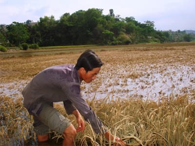 Đường chậm sửa, tiền tỷ trôi sông