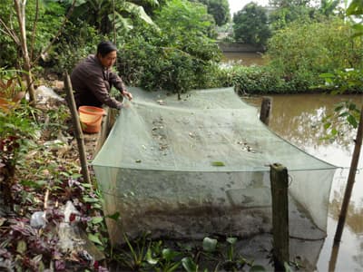 Trở thành tỷ phú nhờ nuôi đặc sản