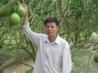 Bưởi Năm Roi trên đất Sóc Trăng
