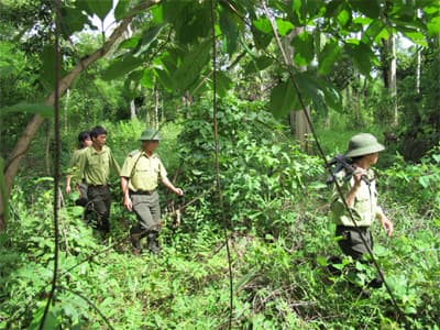 Thêm áp lực mới