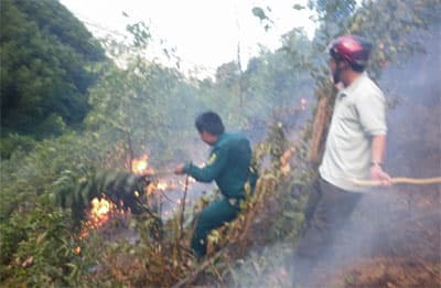 Cháy rừng nghiêm trọng trên đèo Hố Chùa, Đà Nẵng