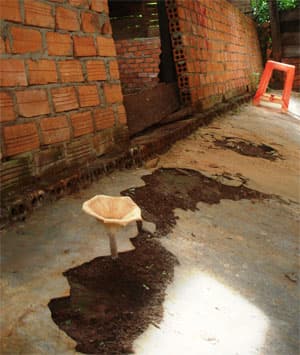 Cần xử lý dứt điểm