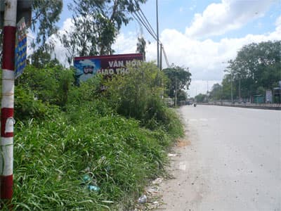 Đẹp nhưng… uổng