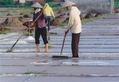 Nhọc nhằn hạt muối