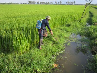 Cần nghiêm cấm dùng kích điện đánh cá