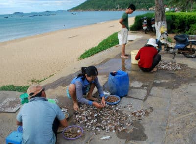 Nhếch nhác Công viên Thiếu nhi