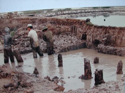 “Tôn tạo di tích lịch sử chiến thắng Bạch Đằng xứng tầm với giá trị của di tích”