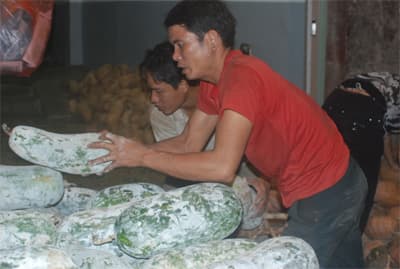 Lao động tự do - nhiều thiệt thòi, lắm nguy cơ