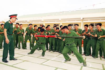 Trong sắc hoa hướng dương