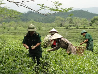 Xuân ấm vùng biên