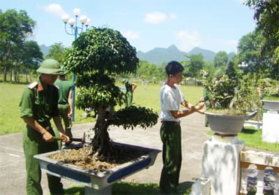 Doanh trại xanh, bộ đội thêm yêu đơn vị