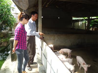 Chủ trang trại giàu nghị lực