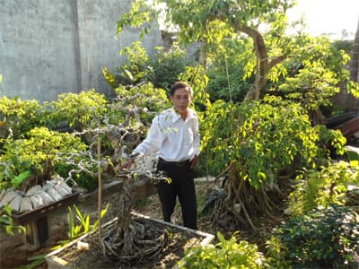 Người thương binh làm giàu từ cây cảnh