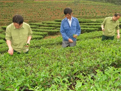 Điểm tựa vững chắc cho dân