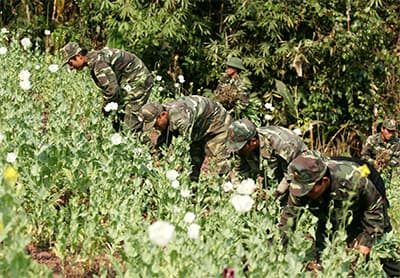 Cần giúp dân chuyển đổi cây trồng khác