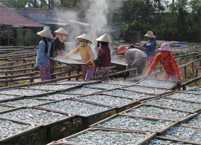 Nhọc nhằn mưu sinh nơi bến cá