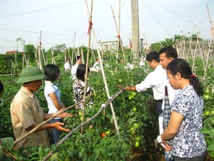 Đa dạng hóa các hình thức hỗ trợ nông dân