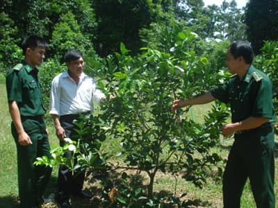 Chung sức xây dựng nông thôn mới