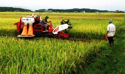 Người dân mong có cuộc sống an lành