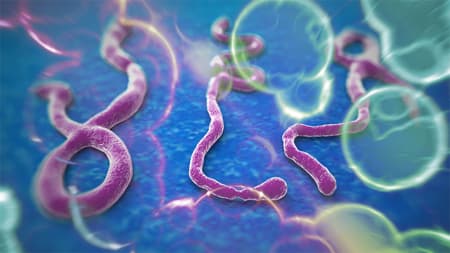 Trường hợp người Việt Nam có biểu hiện sốt sau khi trở về từ khu vực có dịch Ebola âm tính với vi rút Ebola
