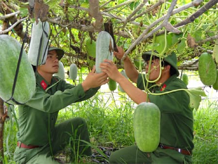 Giữ súng tốt, tăng gia cũng tài