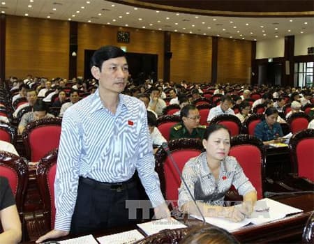 Cân nhắc kỹ sự phù hợp với điều kiện tự nhiên của Việt Nam