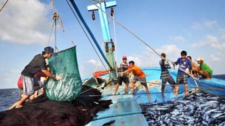 Tổng sản lượng thủy sản 7 tháng đầu năm ước tính đạt 3462,4 nghìn tấn