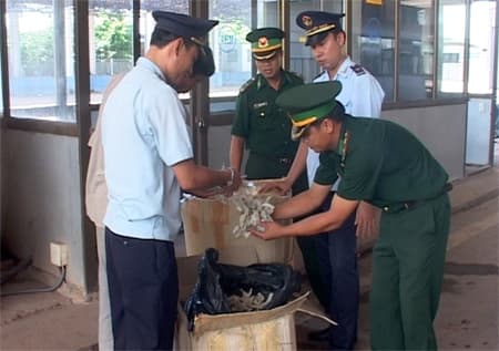 Phát hiện vụ buôn lậu hơn 150 kg yến sào