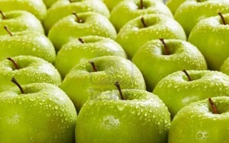 90% táo Mỹ nhập về Việt Nam từ nơi không bị nhiễm khuẩn