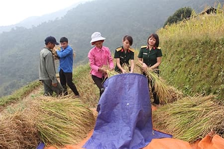 Đổi thay ở vùng biên giới Vị Xuyên
