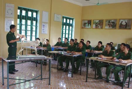 Thành lập Khoa Huấn luyện, nuôi dưỡng  ngựa tuần tra biên giới