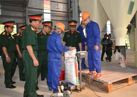Tự sản xuất thức ăn chăn nuôi