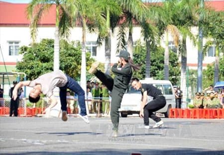 Nhiều hoạt động tôn vinh lực lượng Công an nhân dân