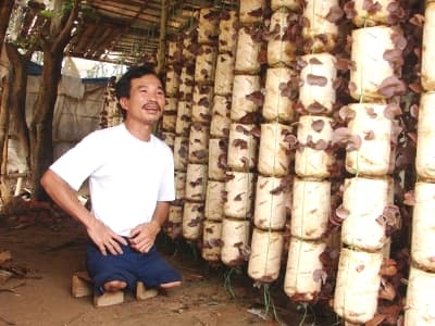 Nhật Bản hỗ trợ nạn nhân bom mìn tỉnh Quảng Trị