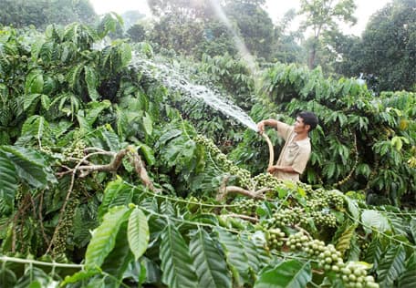 Người dân Gia Rai đời đời ơn Đảng
