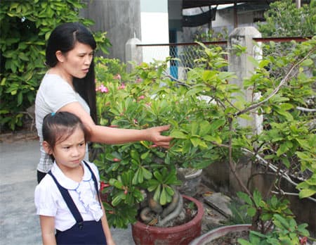 Xuân về "làng Trường Sa"