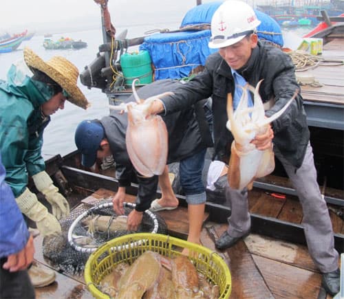 Bám đảo để lập nghiệp