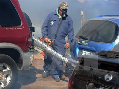 Vi-rút Zika có nguy cơ lây lan khắp châu Mỹ
