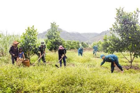 Khánh Phú, Tết này ấm no hơn