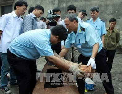 Bắt giữ hơn 180kg ngà voi tại Sân bay quốc tế Nội Bài