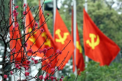 SẮC XUÂN MỪNG ĐẢNG